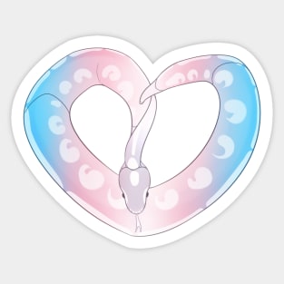 Ball Python Heart (Trans Pride Design) Sticker